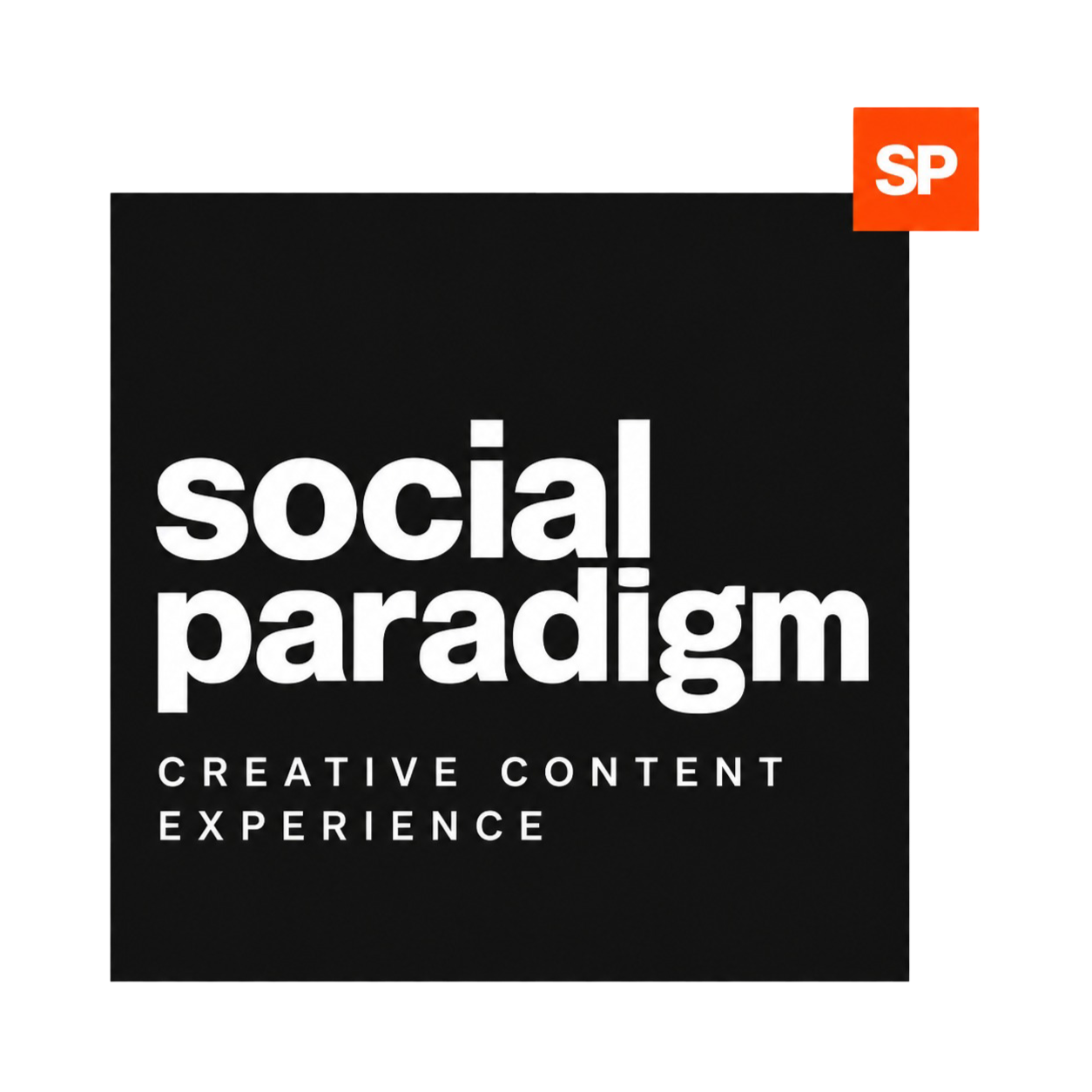 Social Paradigm